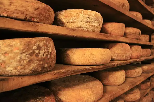 croûte, fromage, manger croûte, fromage, manger
